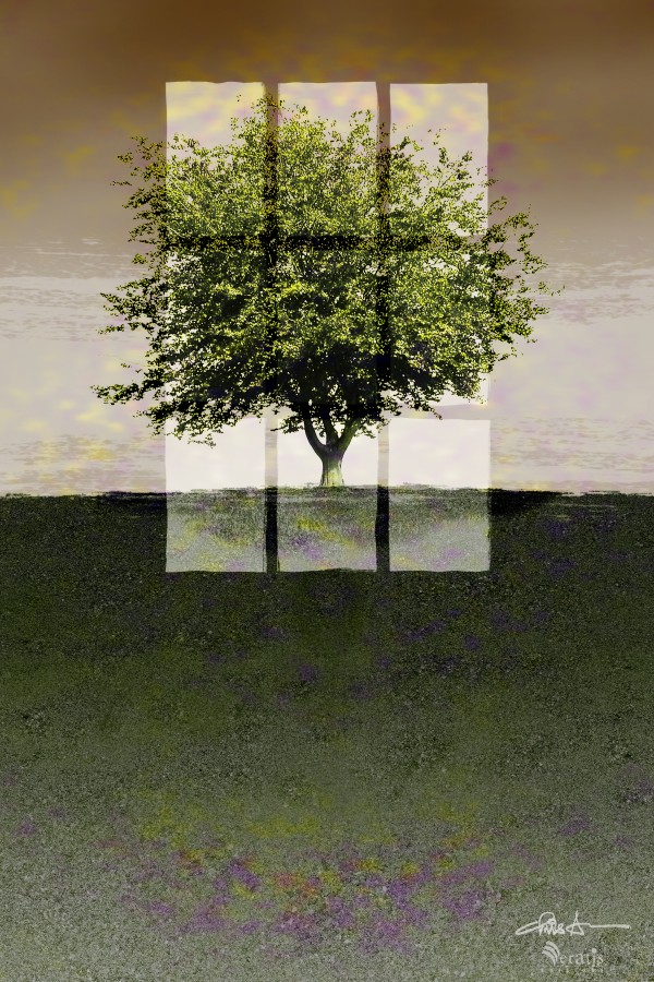 Window on a Green Tree 2x3 by Veratis Editions